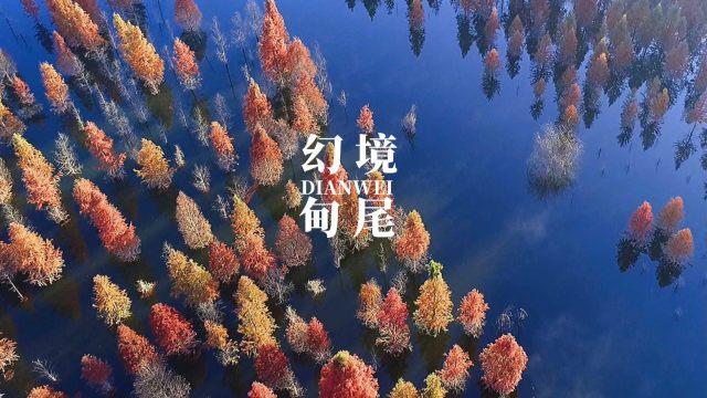 超1089吨、增长8.78%！黄金重要数据来了